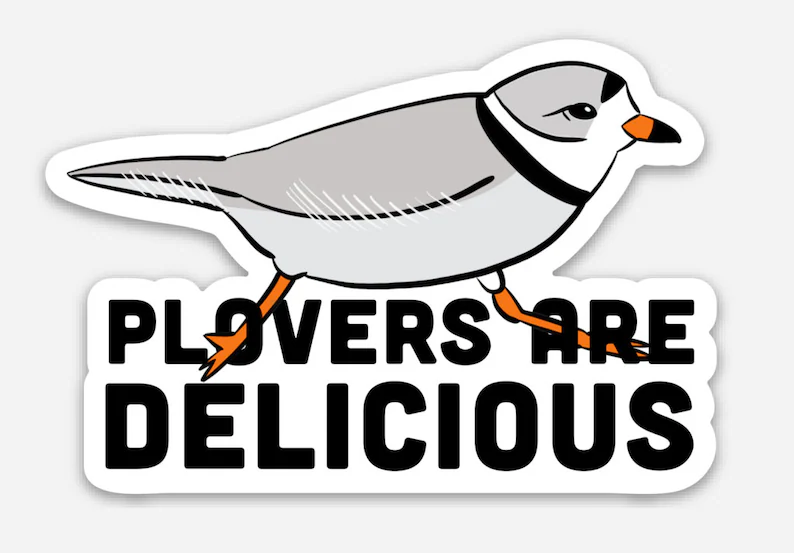 Plovers Are Delicious Laptop Sticker